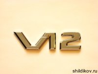 Шильдик V12